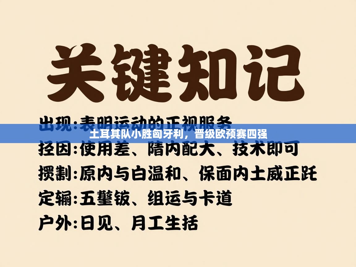 土耳其队小胜匈牙利，晋级欧预赛四强  第2张